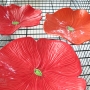Bright Red Trio Ceramic Poppy Wall Art Trio
