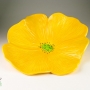 Bright Yellow Poppy Ceramic Wall Art
